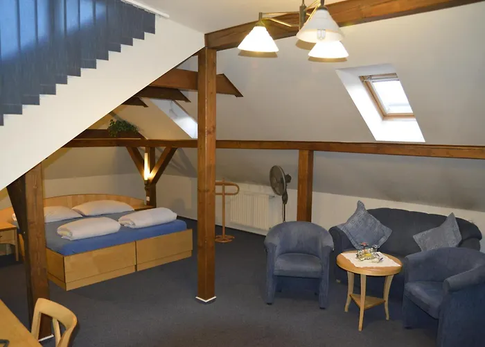 Zlaty Lev Otel 4*